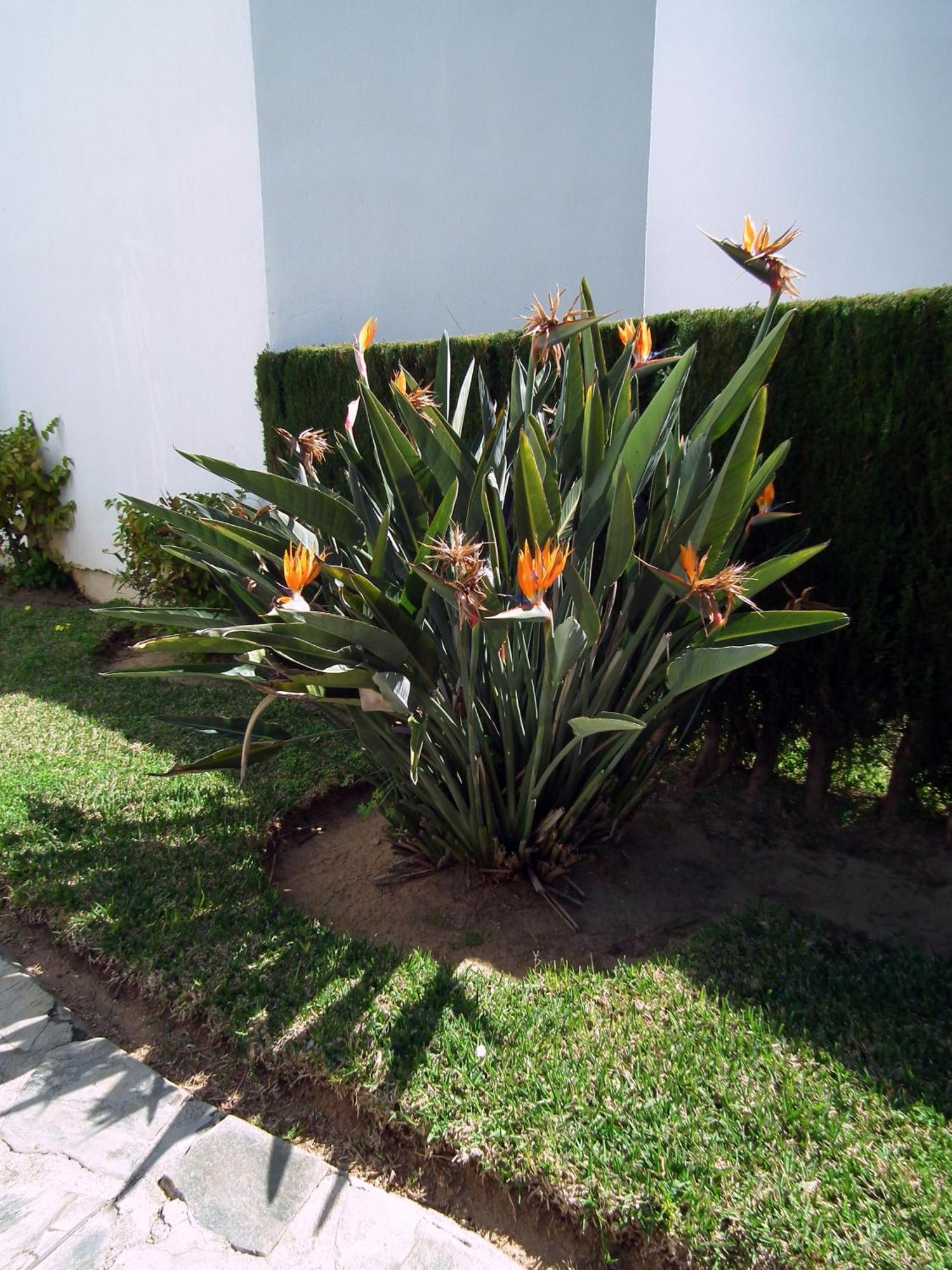 Apartamento Nerja Playa Burriana מראה חיצוני תמונה